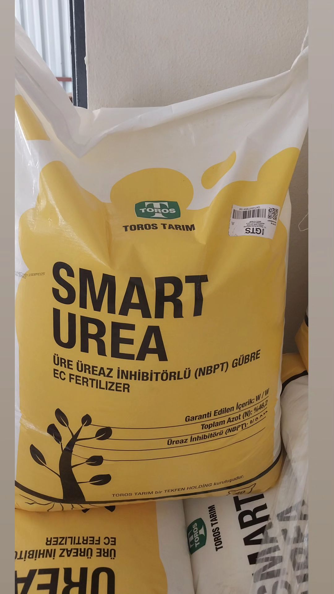 438160119_449693824217369_5678008864733176811_n